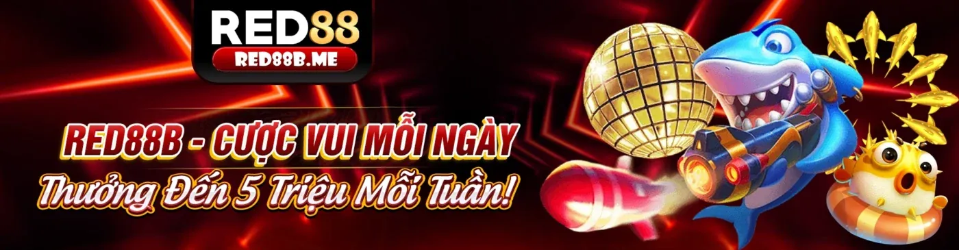 Sân đấu đá gà trực tuyến tx6668